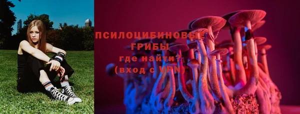 мдпв Гвардейск