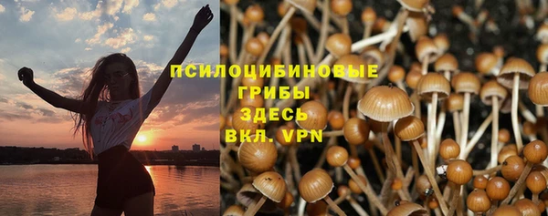 Альфа ПВП Вяземский